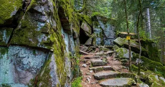 La Chambre du Loup La Chambre du Loup