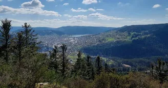La roche des Bruyères