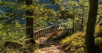 Belvédère de Ventron Belvédère de Ventron