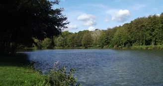 Autry le Chatel - Etang des Coudreaux Autry le Chatel - Etang des Coudreaux