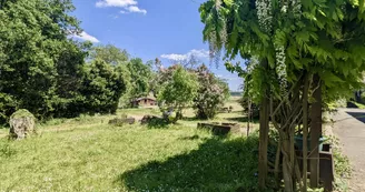 41A-jardin 2 41A-jardin 2