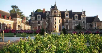 Château de Jallanges - Vernou-sur-Brenne