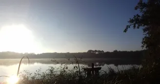 en plein soleil en plein soleil