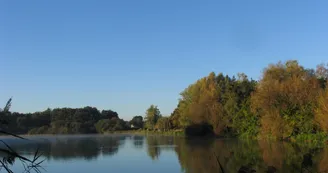 étang de la Ville étang de la Ville