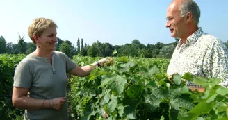 couple-de-viticulteurs-2048x1365 couple-de-viticulteurs-2048x1365