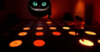 Bouncinng light et le chat Bouncinng light et le chat