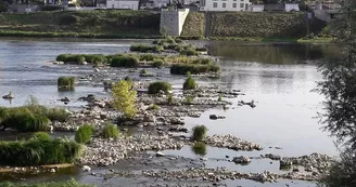 JAR-loire-pont-medieval-20170820-01-FR-OTI JAR-loire-pont-medieval-20170820-01-FR-OTI