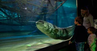 Aquarium de Touraine Aquarium de Touraine