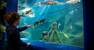 Aquarium de Touraine Aquarium de Touraine