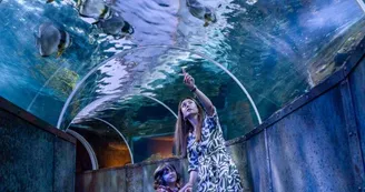 Aquarium_Touraine Aquarium_Touraine