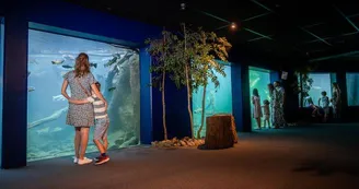 Aquarium de Touraine Aquarium de Touraine