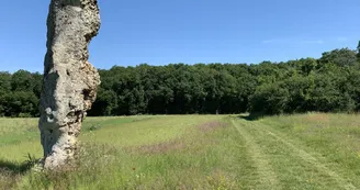 3CBO - Menhir de la Chaise - Louzouer (4) 3CBO - Menhir de la Chaise - Louzouer (4)