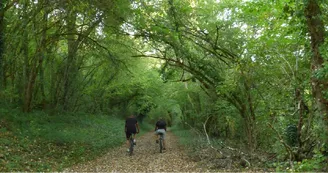 activite-de-pleine-nature-velo activite-de-pleine-nature-velo
