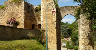 Château-Renard Château-Renard