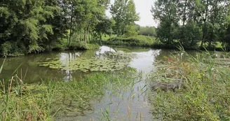 ENS - les prés du canal - Mézières-en-Brenne ENS - les prés du canal - Mézières-en-Brenne