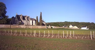 chateau-la_vauguyon01 chateau-la_vauguyon01