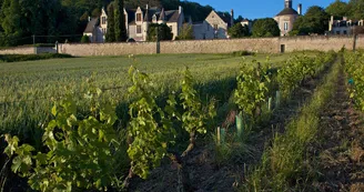 chateau-la_vauguyon02 chateau-la_vauguyon02