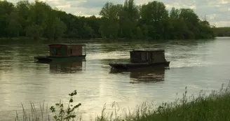 La loire près  du jardin des vignes