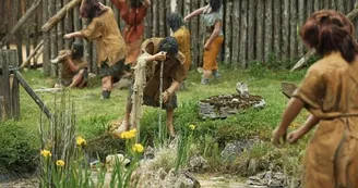 IMG-2364