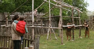 IMG-2364