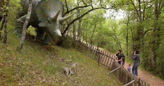 IMG-2364
