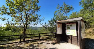 Aire Cras Oppidum de Murcens