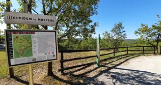 Aire Cras Oppidum de Murcens 1