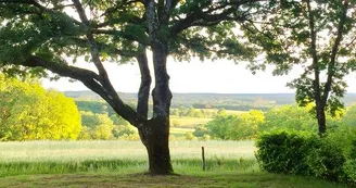 Camping Les Hirondelles Camping Les Hirondelles
