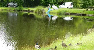 Saint Foy - Etang - Canard - Pêche - Nature Saint Foy - Etang - Canard - Pêche - Nature