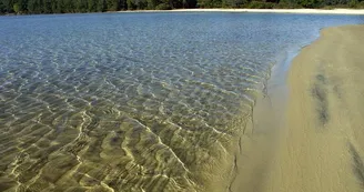 Lac de Cazaux Lac de Cazaux