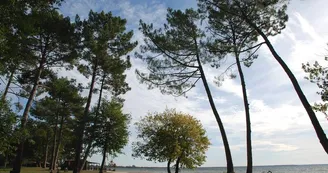 Plage de Laouga Plage de Laouga