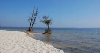 Plage de Laouga Plage de Laouga