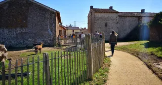 chemin pintureau