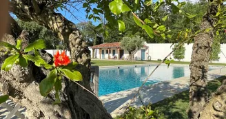 Château de Larraldia-piscine Château de Larraldia-piscine