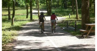 Balade en vélo à La Taillade Balade en vélo à La Taillade