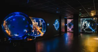 espace-méduse-aquarium-biarritz-crédit-delphine-pernaud
