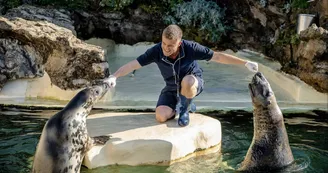 repas-des-phoques-aquarium-biarritz-crédit-delphine-pernaud