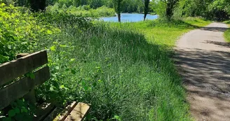 Lacs de Laroin - Laroin - bancs sur le parcours