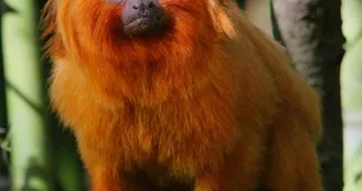 Reserve_Zoologique_de_Calviac