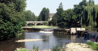 Aire de loisirs Parc de Vounant_1