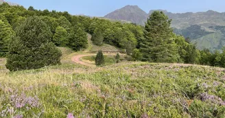 Espace du Somport en été 4 Espace du Somport en été 4