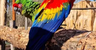 zoo du bassin d'arcachon 7