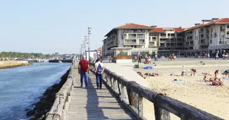 Goelia-Capbreton-Landes-Lestacade (8)