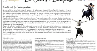 FFCL - Panneau-Course-Landaise-VD-2@05x