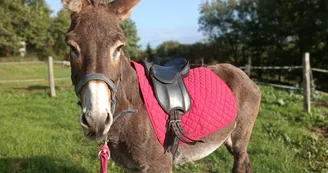 ÄNE la ferme du petit âge