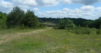 causse causse