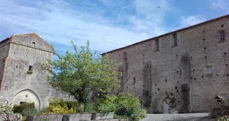 Cour du musée Cour du musée