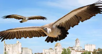 Géants du Ciel_1