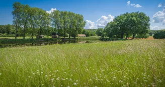 Balade du Domaine Balade du Domaine