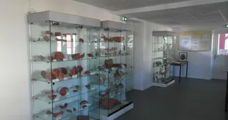 Musée du Camp Romain Usakoa - Vitrines - Saint Jean le Vieux